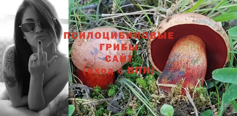 Галлюциногенные грибы Magic Shrooms  мега ССЫЛКА  Стерлитамак 